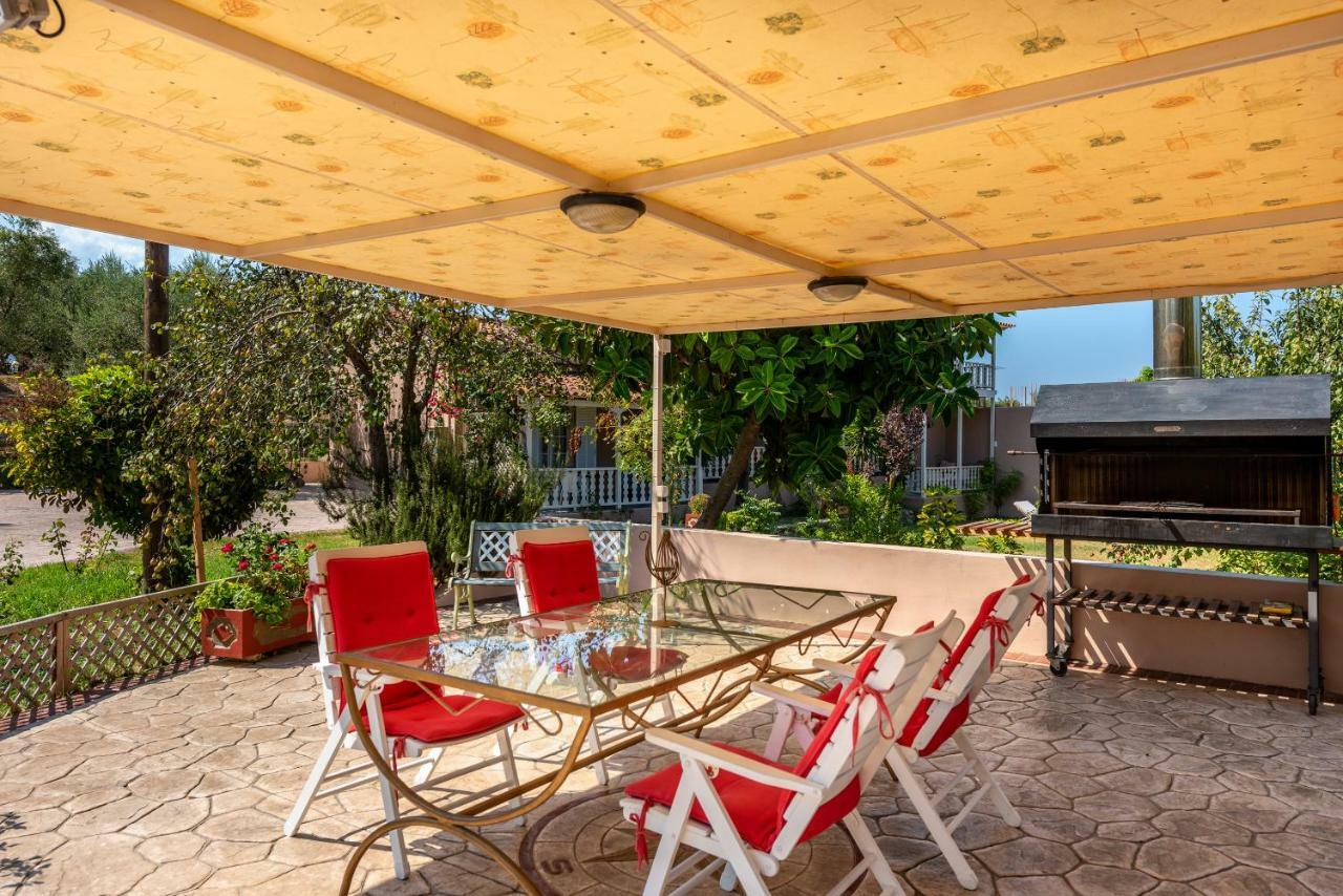 Vasiliki Apartments 查加基恩 外观 照片